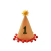New European and American pet cute and shiny headwear manufacturer direct sales party outfit birthday hat manufacturer decorative accessories, clothing accessories, pom-pom hats Application Scenario